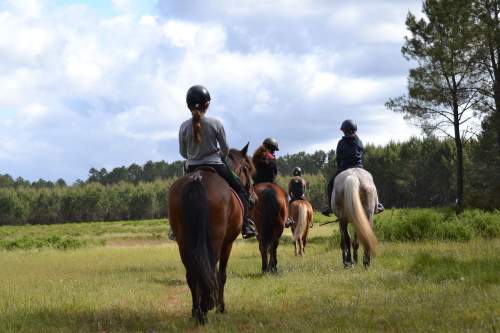 Centre Equestre